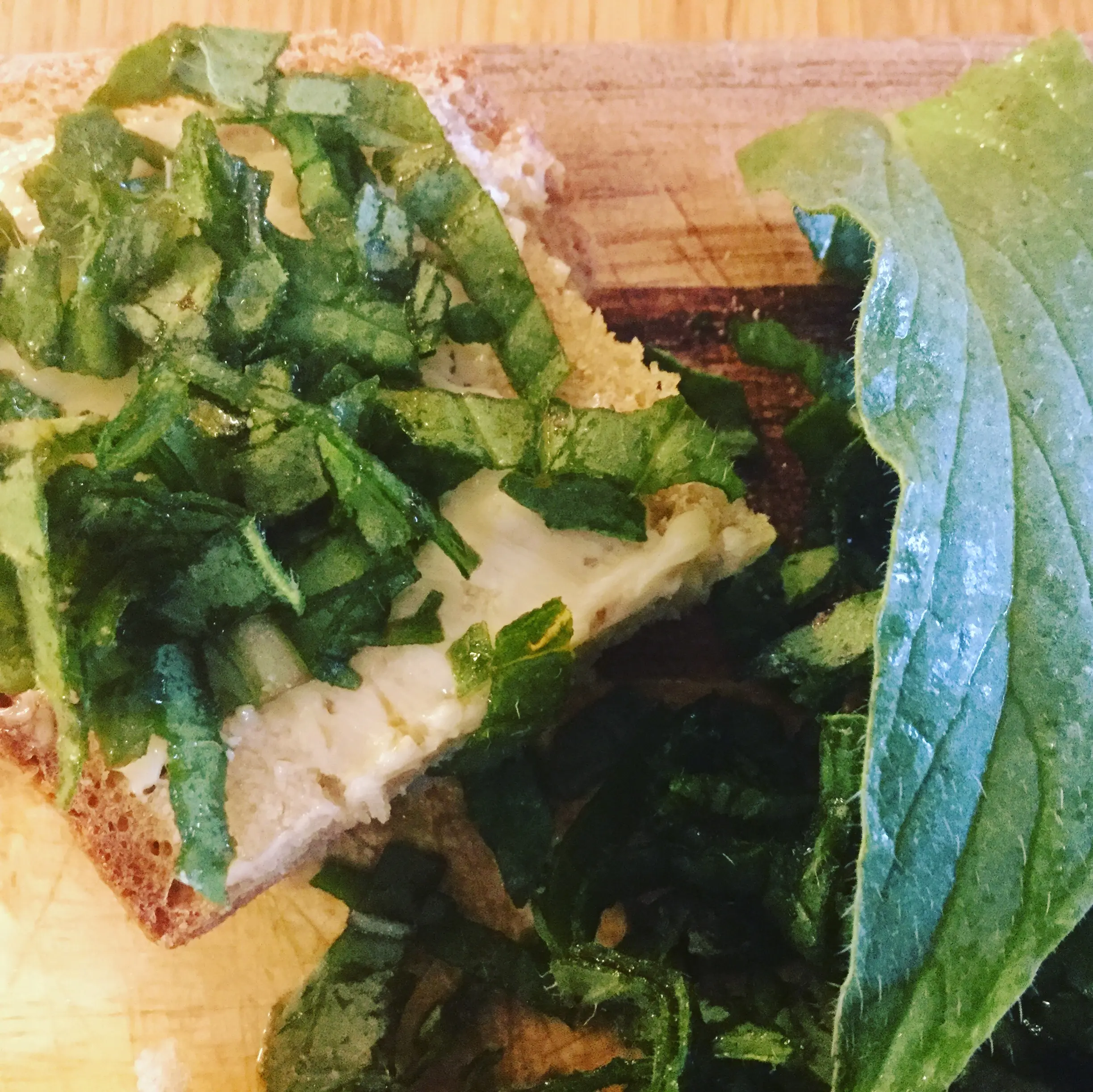 zJWFu8DbDTXvYuCWNdCMyI0MIgGSGcH0LtJFNwox