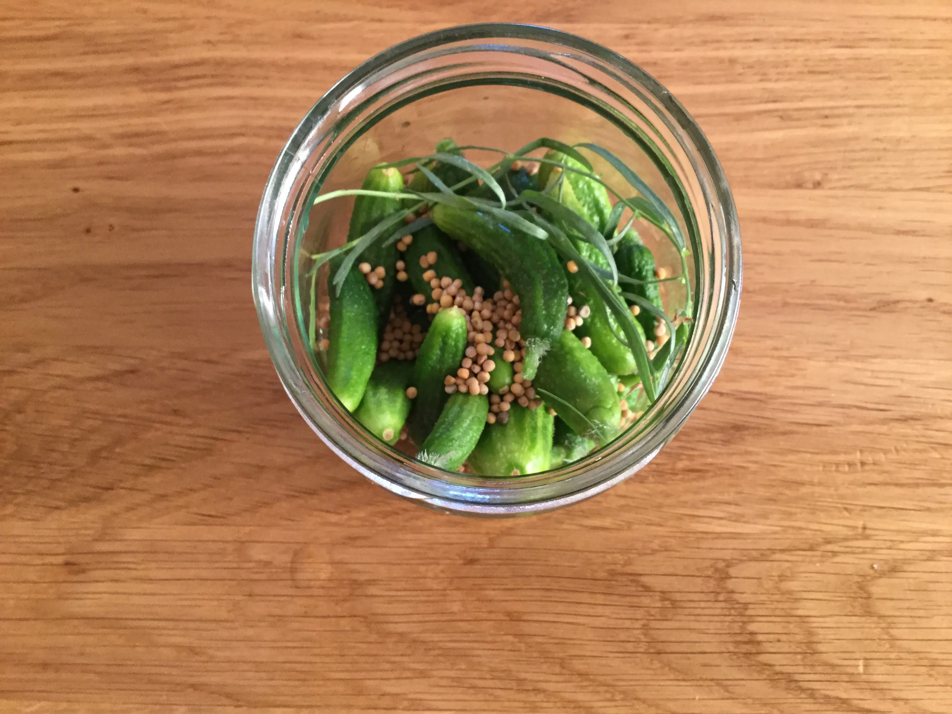 wDPuvar6X3O9jsLsccxMRWhlC7YrpLYn5bPoq4ZL