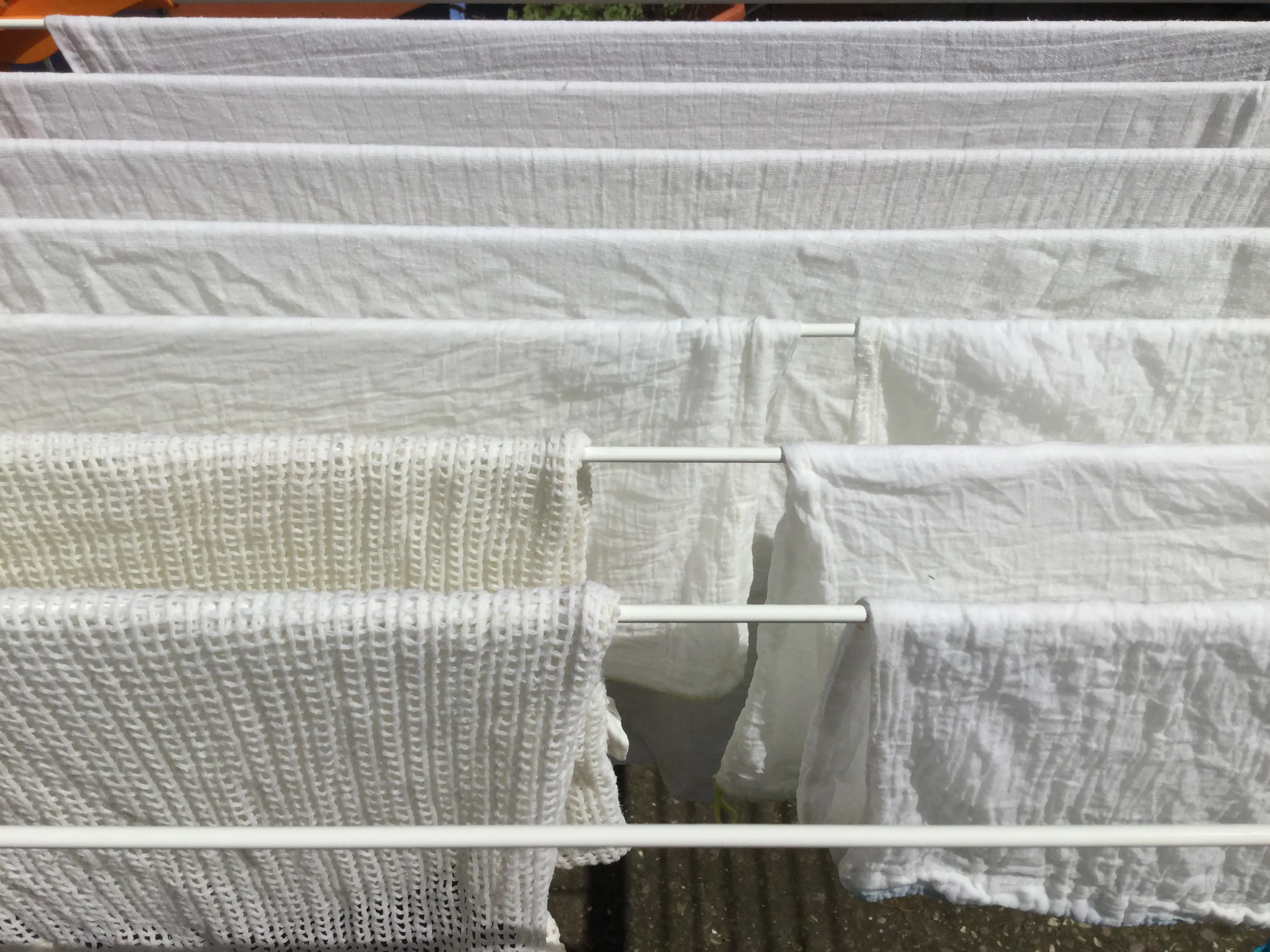 y1qhF2DegmZkGsLBmZWntcCaCyLTg6m4tEvJxHVj