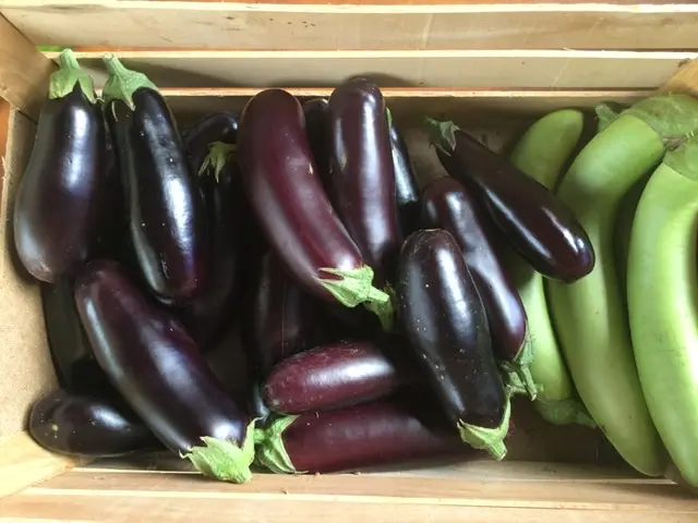 V4eN8ZYUuNBuKzMADvA8JAIjoeH6BqNX867Kmwe4