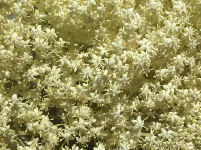 zzL1lAi4a38RhCwCBS0ErOWgQux16tKZg451fKVs