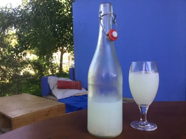 ZTcxtr4hy8cvM1bf3vNp2o4r5ZbIXpQKDZUITo7h