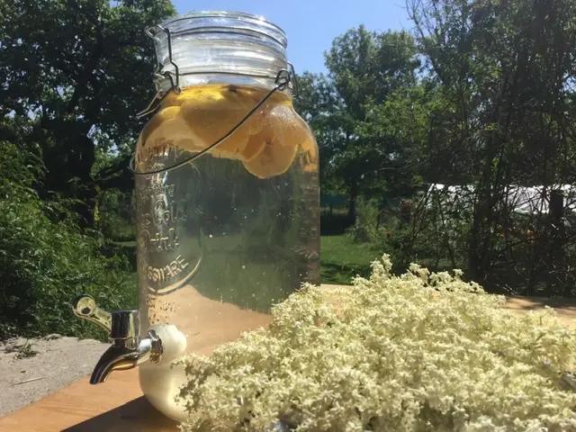 c2nTJyIiOCuvGPMHIUqfKJpAuZxyClgvmnwsfbc6