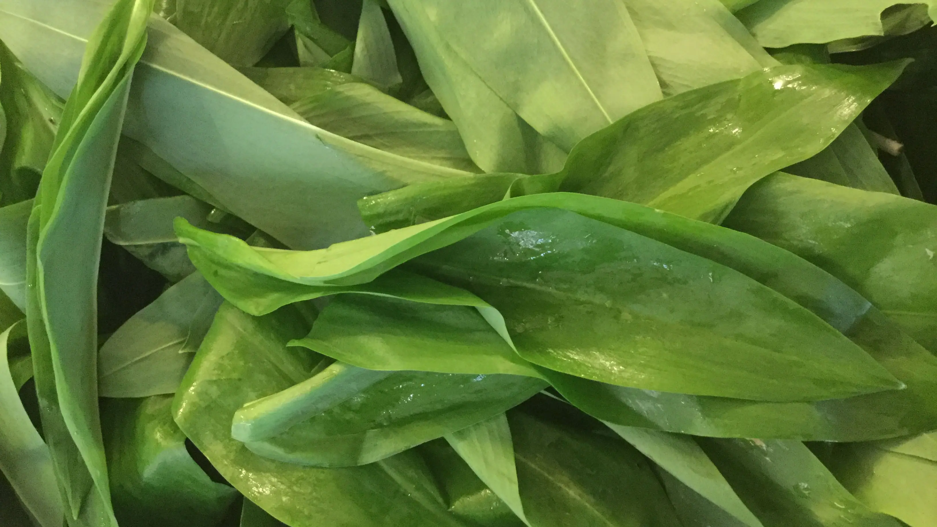 JbpUGLF5mTrDLFTHEBYFz214GDnoJ6Dz7wWpS6vb