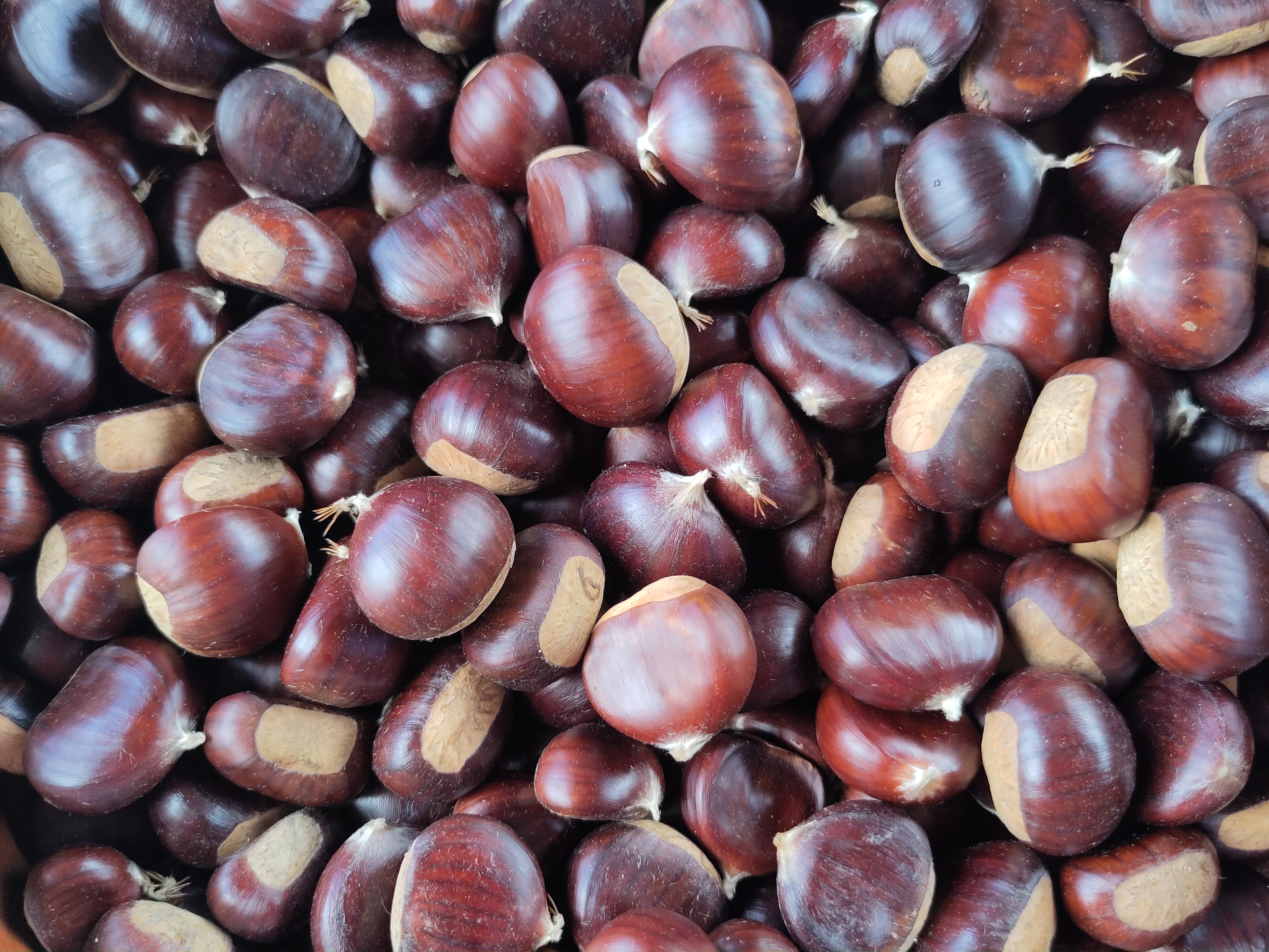 kOyQBEsEf3xXkTPfOcYnNj79ZphFxFHwO96qP2oj