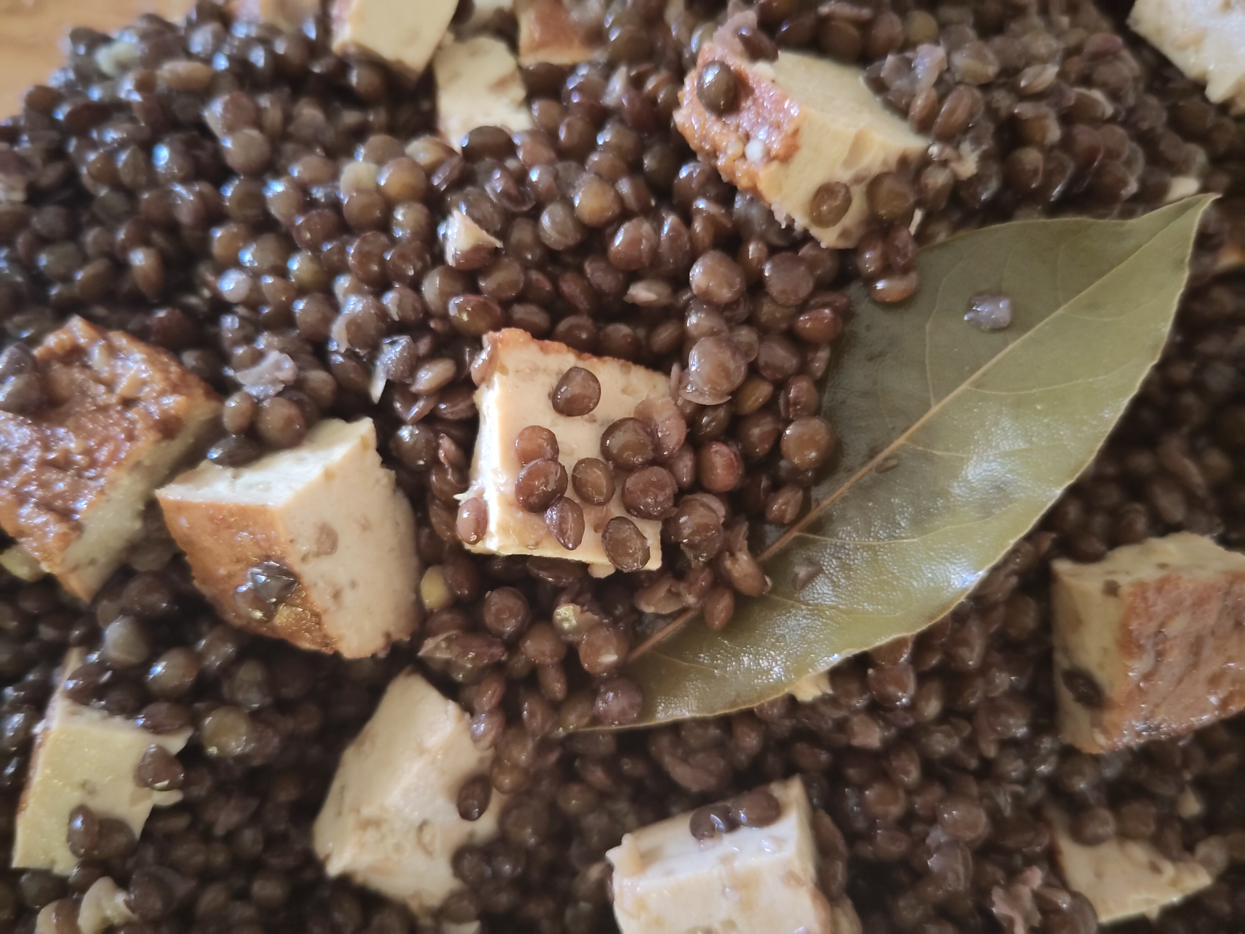 Fj5km4mWhDgujhwoi91qzU2lTVbyrmFK2Wo0t7Bg