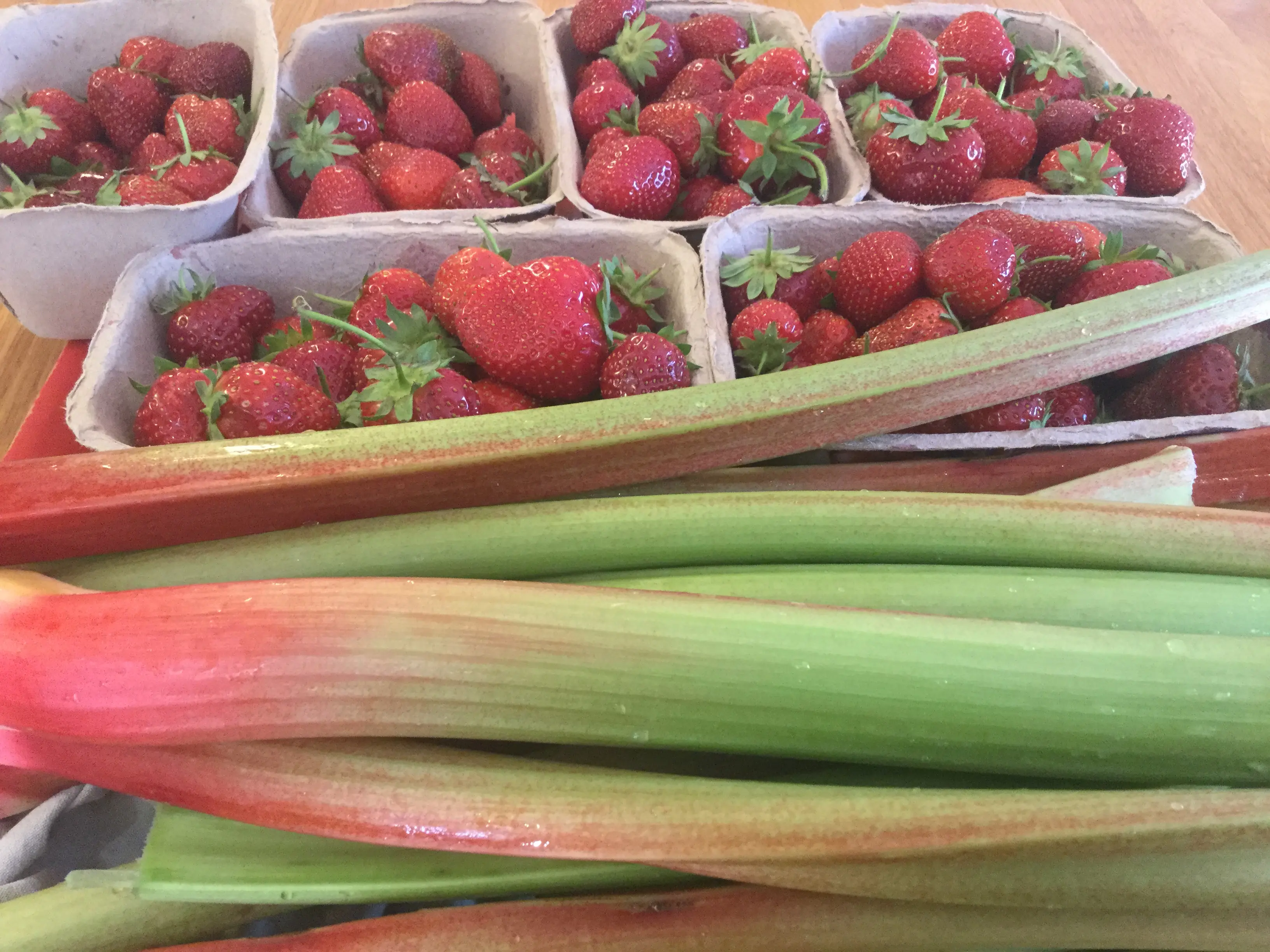 G3izECkyV6SDVEM1sAW2jSGThMSetnUJIkosv7rJ