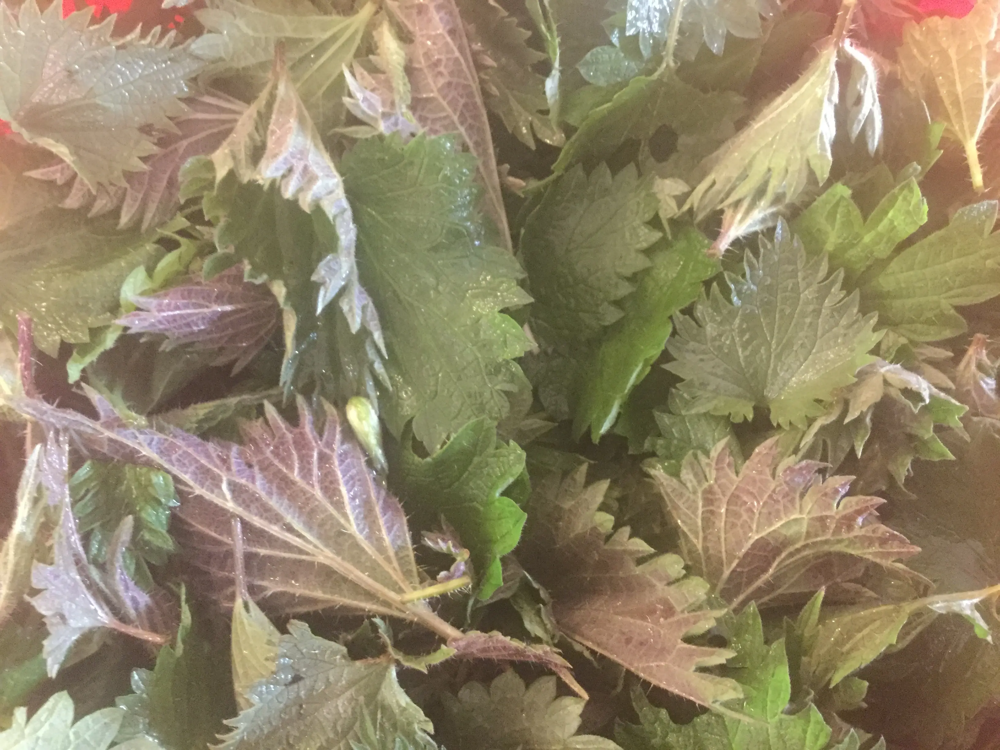 zucKWUTZAdFHfMhTwEngHBaaLyM2SJXRjfZpRfuu